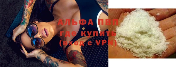 гидра Покачи