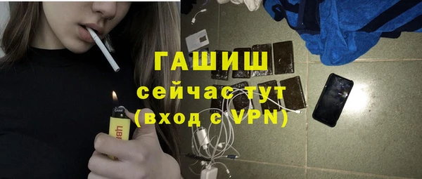 гидра Покачи