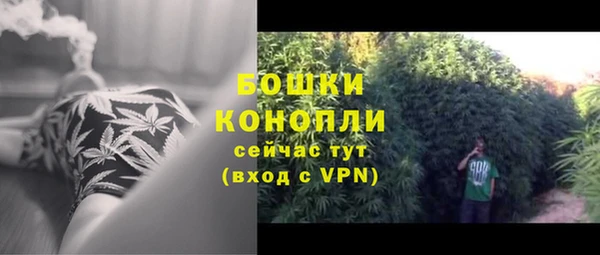гидра Покачи