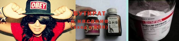 гидра Покачи