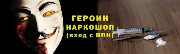 гидра Покачи