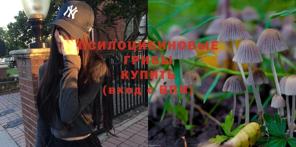 spice Покров