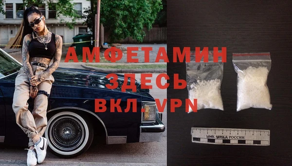 гидра Покачи