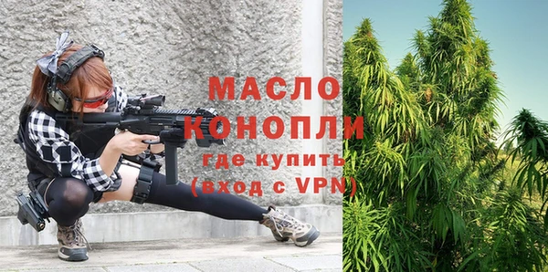 гидра Покачи