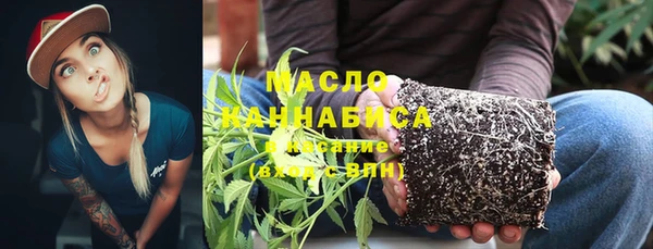 гидра Покачи